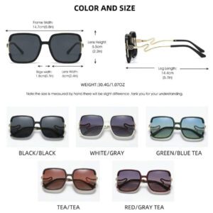 Lunettes de soleil pour femmes RIVSAR, avec un grand cadre métallique et une branche en forme de serpent. Des lunettes de soleil pour l'extérieur, la conduite, le vélo, la pêche pour les vacances d'été à la plage, l'extérieur et les voyages.