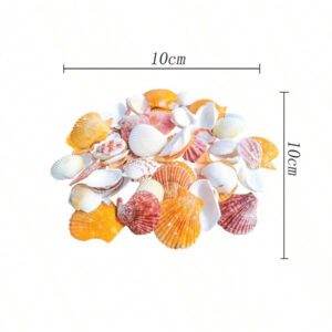 1 Pack (30g) Of Natural Multicolored Shell, Random Assortment - Suitable For Indoor Home Wall Decor, Aquarium Landscape, DIY Handicraft, Jewelry Making, Driftwood Bottle Materials Gifts Birthday Graduation