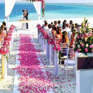 1000 pièces Pétales de rose de 15 couleurs, fleurs artificielles pour la décoration de mariage, la décoration de fête, le remplissage de boîte-cadeau, une alternative au raphia