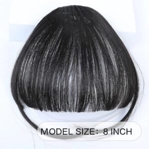 Frange clip-on devant nette, pièce de frange noire synthétique, postiches de perruque résistantes à la chaleur, extensions de cheveux clip-on pour femmes