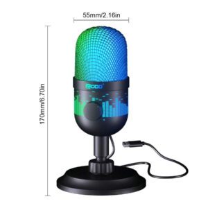 RODD RODD AK-1i, microphone RVB pour ordinateur, doublage, diffusion en direct et jeux