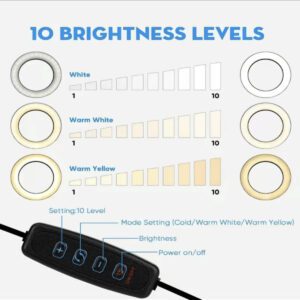 Anneau lumineux LED de 10 pouces avec trépied réglable et support pour téléphone, éclairage circulaire pour selfie, pour YouTube, zoom, photographie, maquillage, diffusion en direct